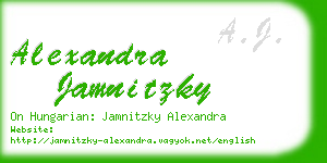 alexandra jamnitzky business card
